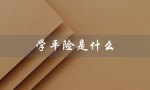 学平险是什么（学平险是什么）