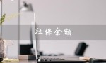 社保余额（个人社保账户余额查询）