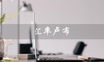 汇率卢布（汇率：卢布兑人民币）