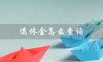 退休金怎么查询（如何查询个人退休金账户）