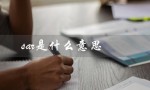 sar是什么意思（sarah的含义是什么）