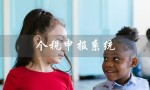 个税申报系统（个税申报系统如何添加企业）