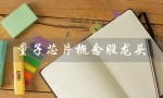 量子芯片概念股龙头（什么是量子芯片概念股龙头新华龙）