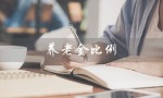 养老金比例（养老金比例多少）