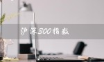 沪深300指数（怎样开沪深300指数户）