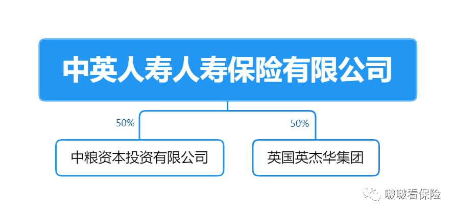 中英人寿重疾险怎么样(中英人寿和中国人寿哪个好)