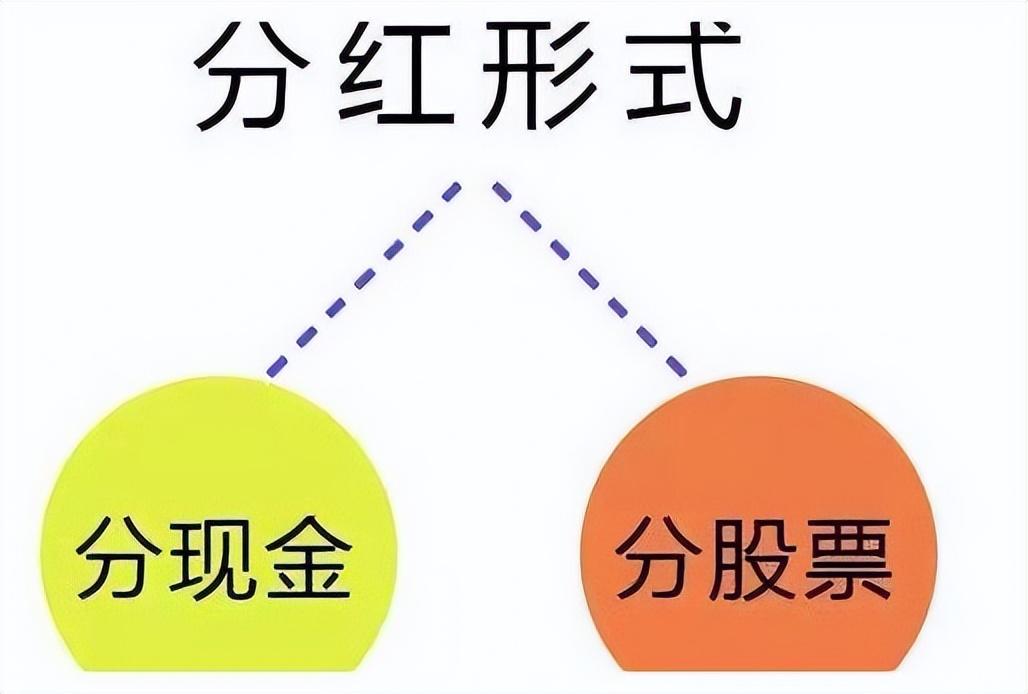 股票分红是什么意思(股票分红需要持有多久)