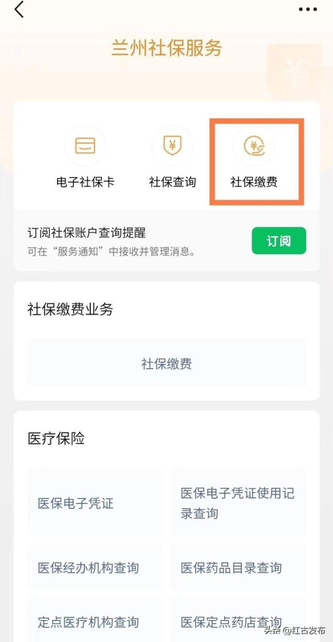 支付宝怎么交农村合作医疗保险费(微信上怎么交医保)