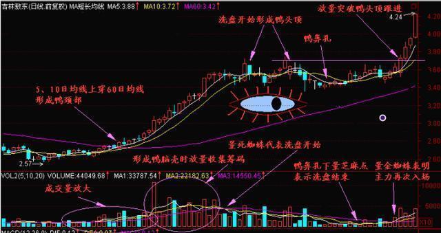 股票仙人指路k线图(仙人指路k线图的典型图)