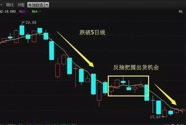 股票的5日均线怎么看(五日均线怎么看图解法)